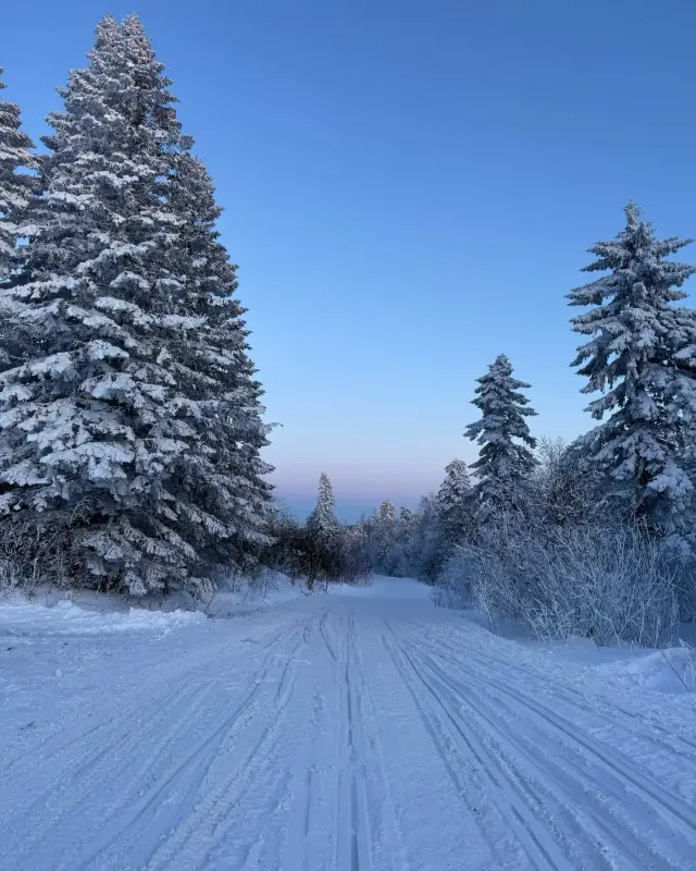 Dreamy Snow Ridge, Changbai Mountain's Winter Wonderland