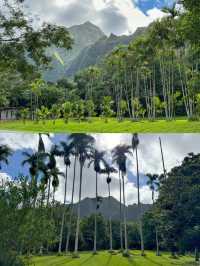 歐胡島植物園，被綠意治癒的一天