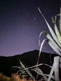 安吉 | 綠野營地，開啟一場星空下的露營派對