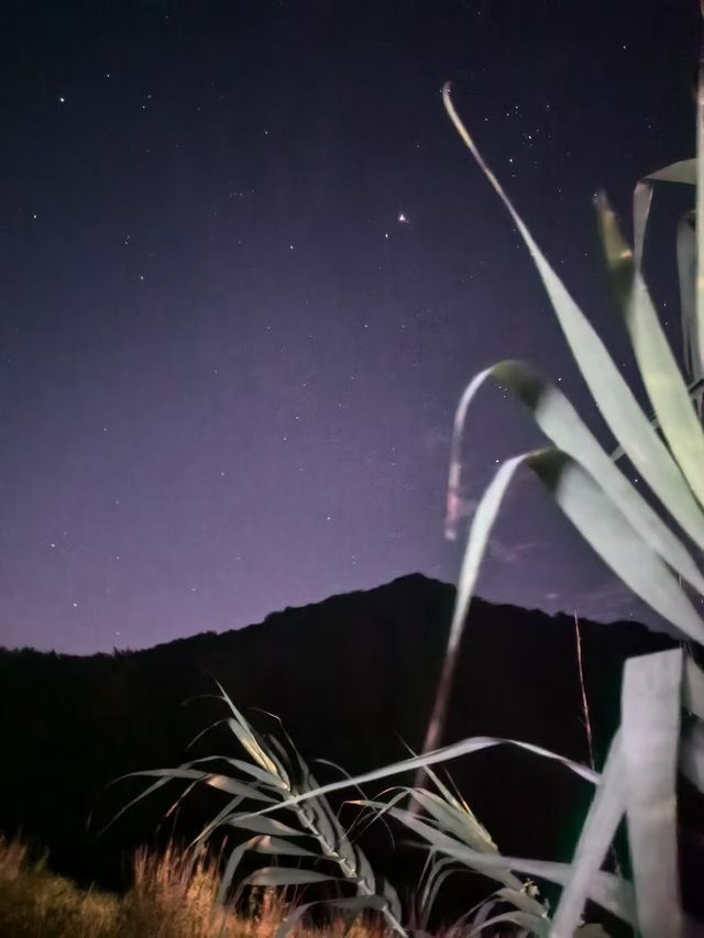 安吉 | 綠野營地，開啟一場星空下的露營派對