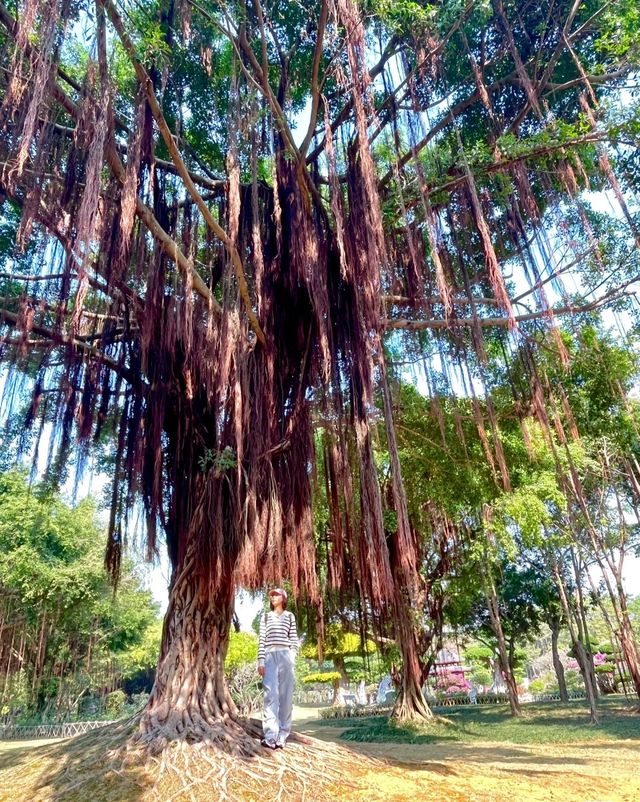 南湖公園，夢幻般的美景等你來