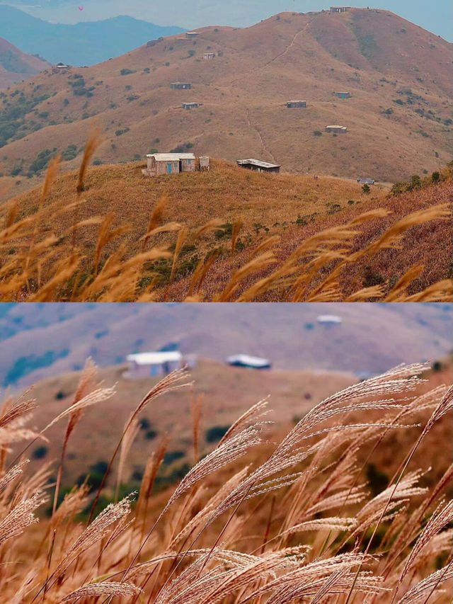 深圳當天往返大東山徒步快走起