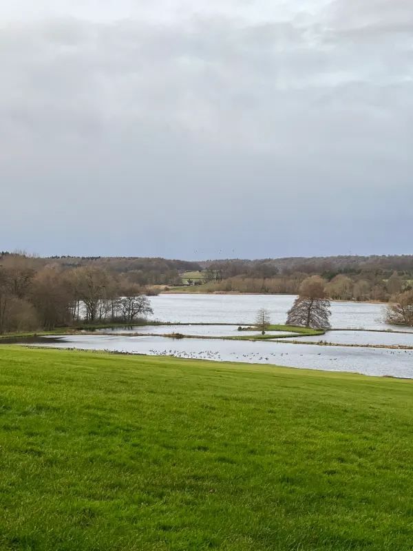 A Day Trip to Castle Howard in York