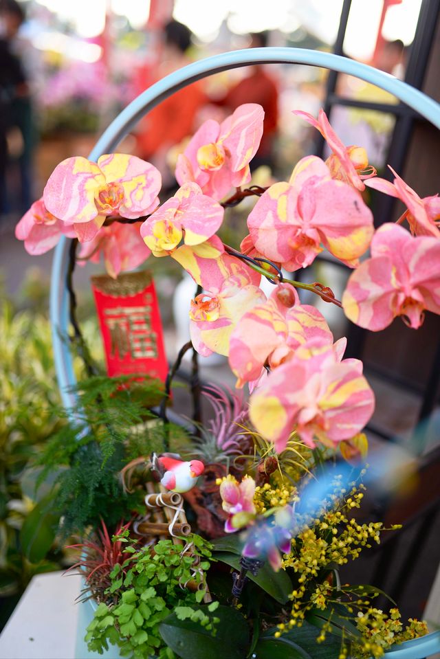 佛山陳村迎春花市｜逛花市過大年