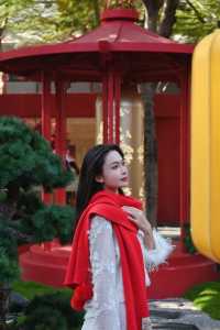 不愧是深圳 | 中式新年庭院也太美了