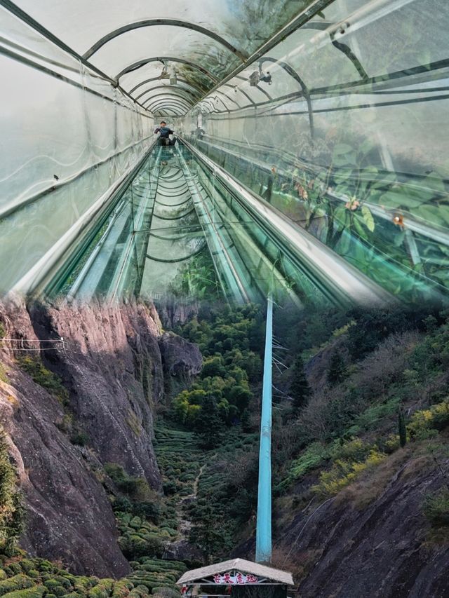春節假期來松陽雙童山景區遊玩