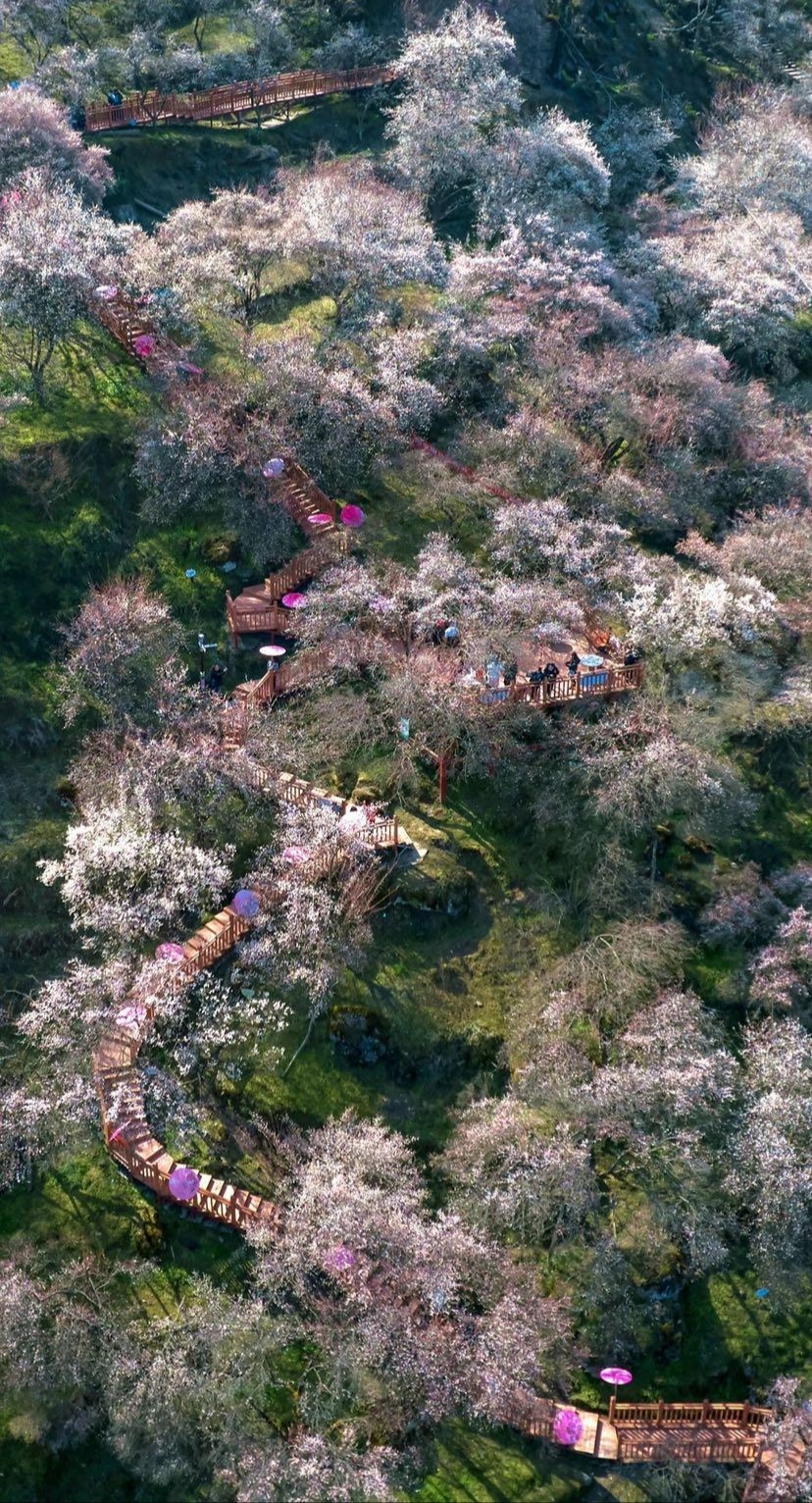 小眾寶藏之地—綿陽