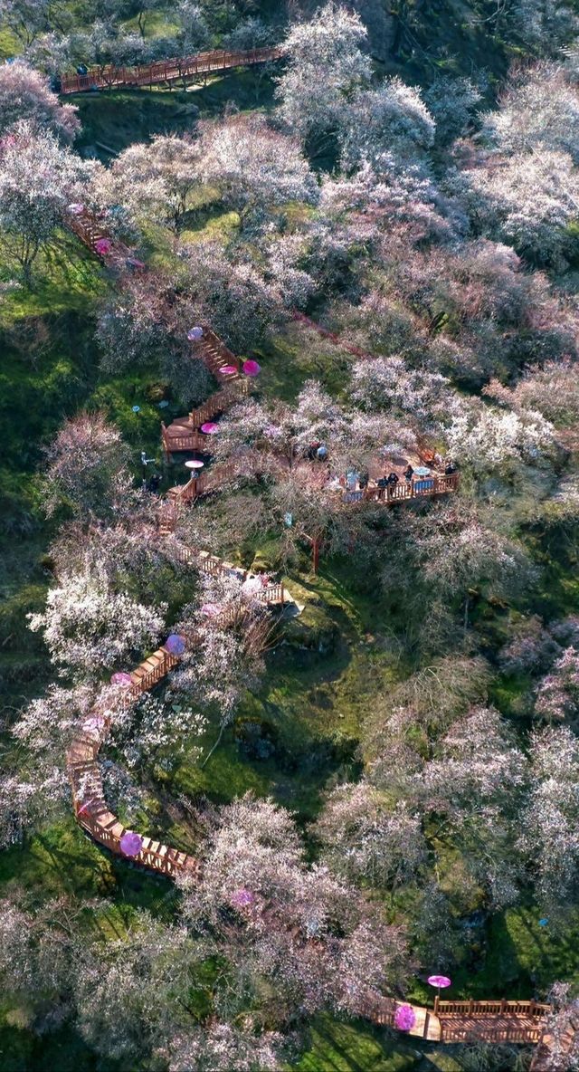 小眾寶藏之地—綿陽
