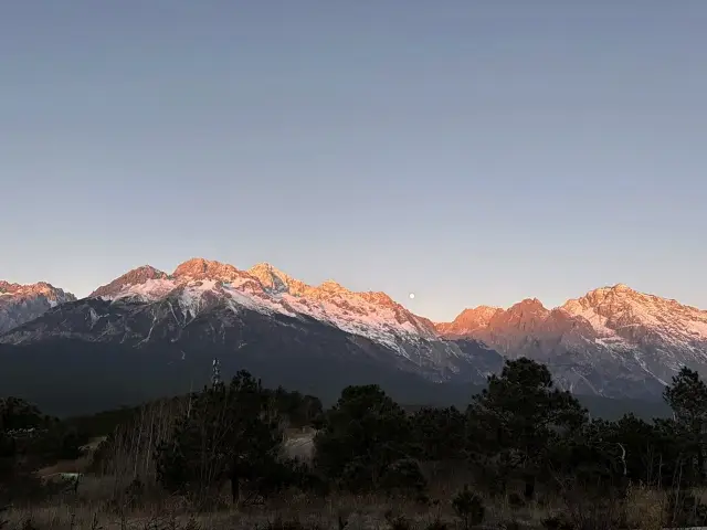 リージャン金茂璞修ホテル