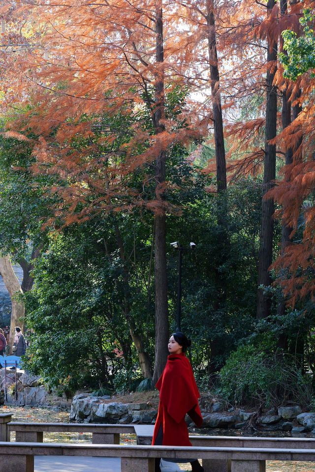 上海人民公園，好天氣裏的絕美出片聖地