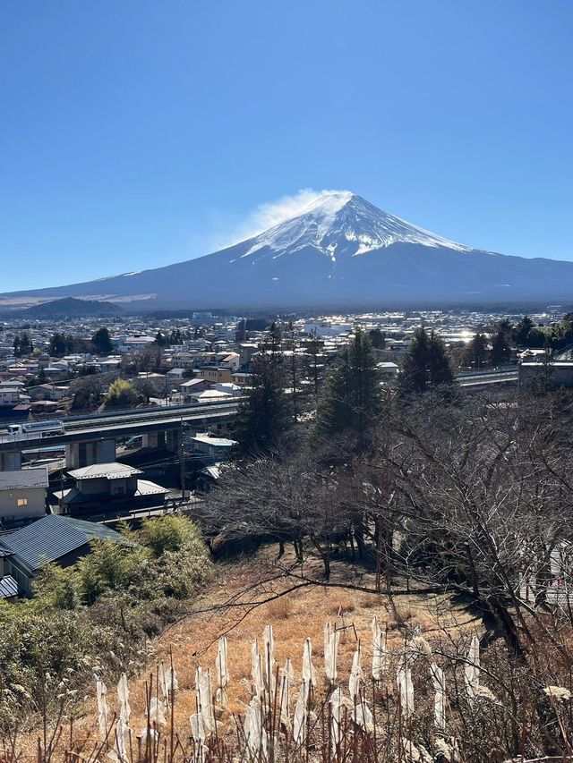 寒假日本8日遊 超詳細攻略來襲