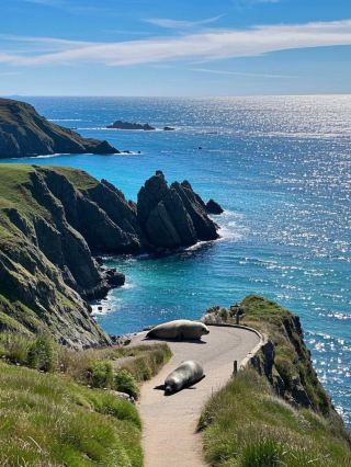 Llandudno, the Most Dreamy Seaside Town in Wales, UK
