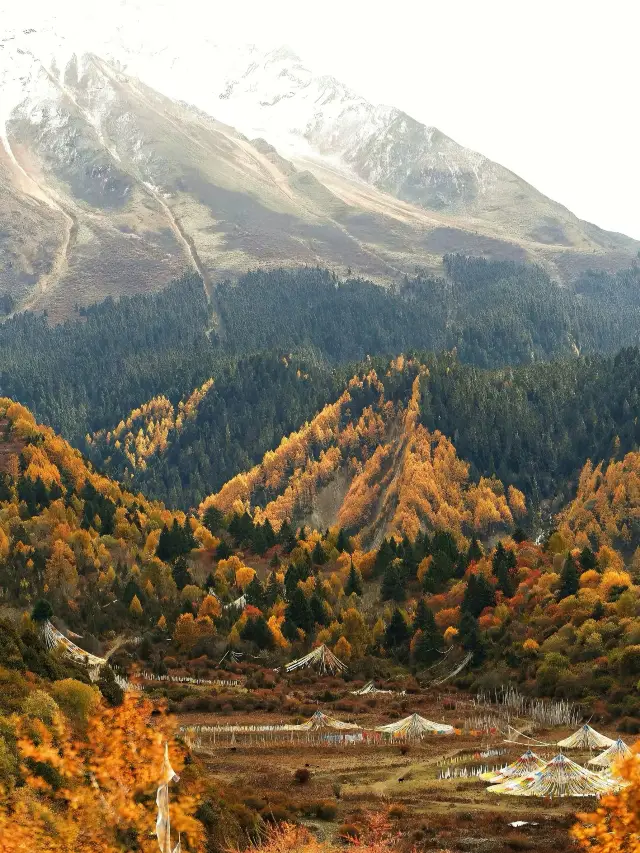 5-Day Nyingchi-Chamdo Itinerary: The Only Guide You Need to Avoid Detours