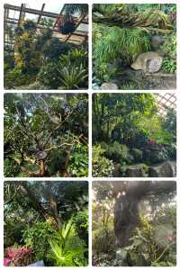 冬日裏的太原植物園