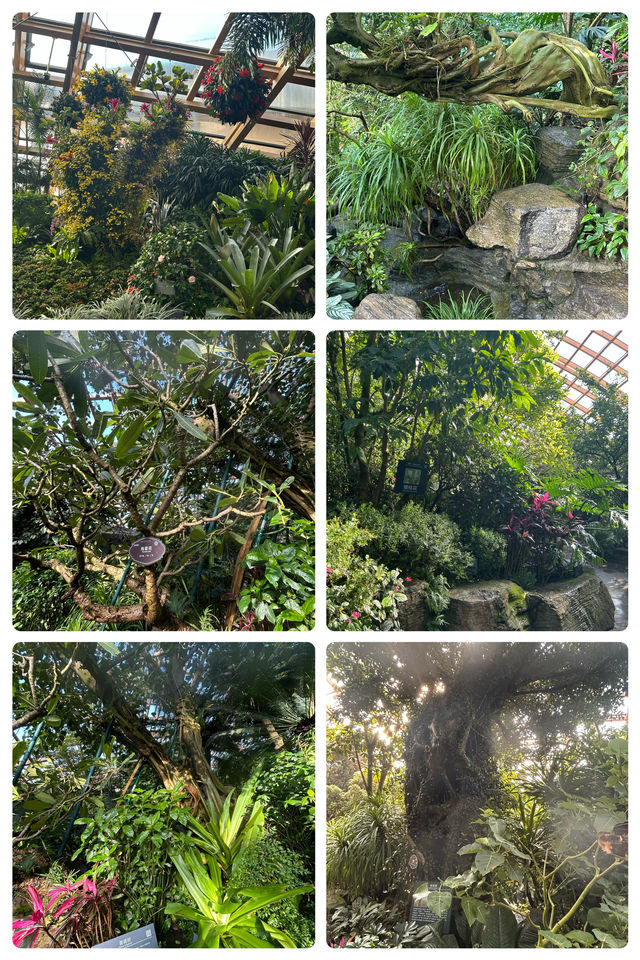 冬日裏的太原植物園