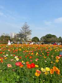 免門票，0元走進七彩莫奈花園～