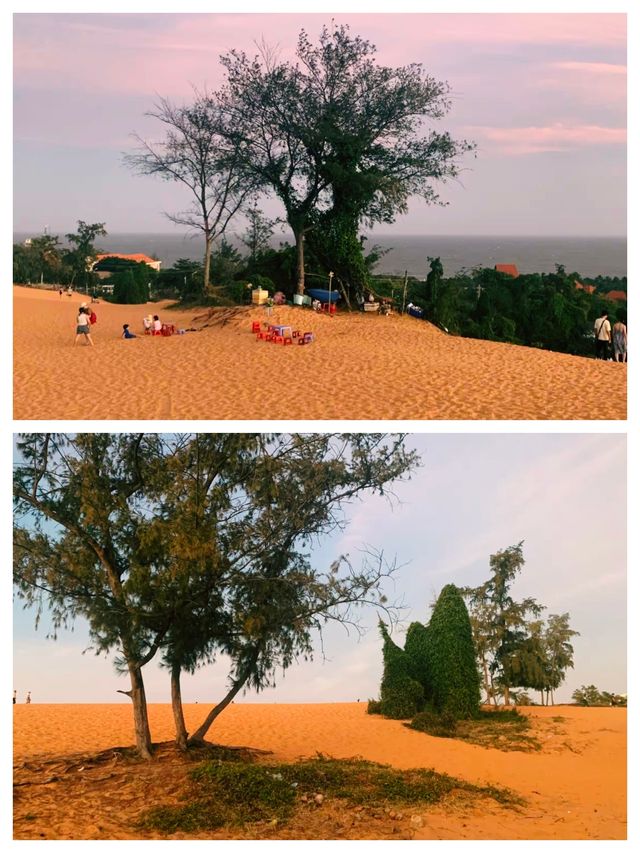 來越南旅遊，不可不去海濱漁村美奈