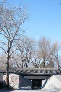 北京｜後海竟然隱藏著這麼漂亮的酒店