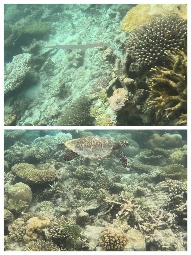 發現寶藏旅行地！呼拉島，你的夢幻避世桃源