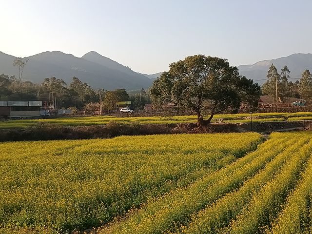 踏春踏青，大地回春，萬物復甦