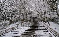 【京都· 龍安寺雪景·2025】