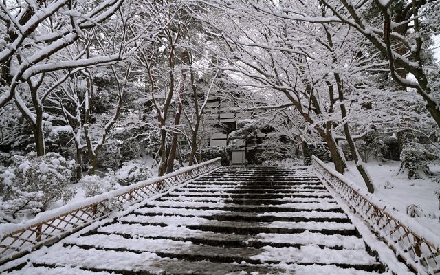 【京都· 龍安寺雪景·2025】