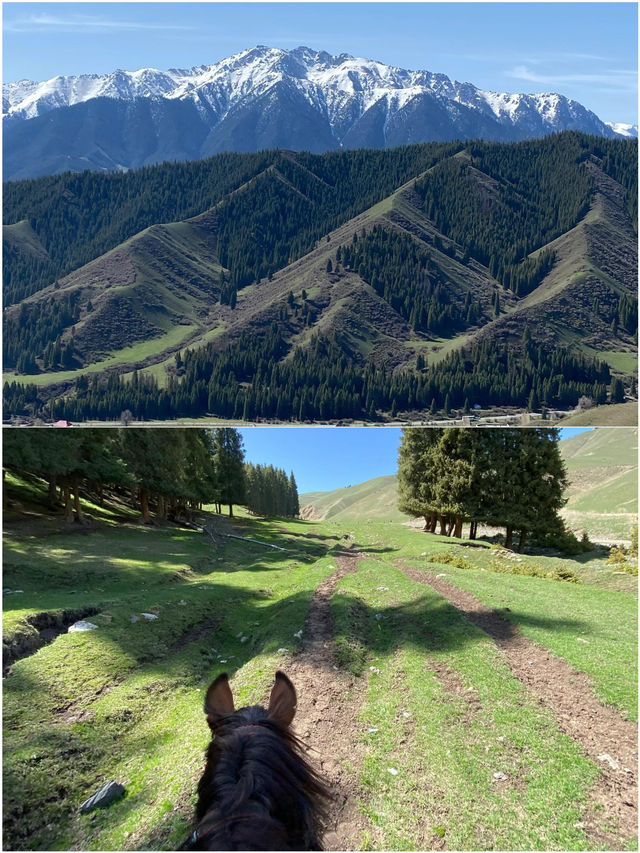 烏魯木齊之旅已結束，分享我的真心話