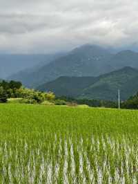 2天探秘日本古鎮 歷史的痕跡等你發現