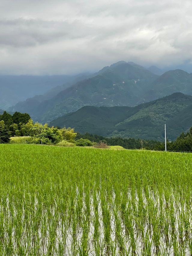 2天探秘日本古鎮 歷史的痕跡等你發現