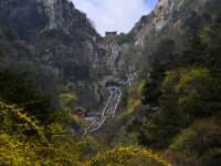 夜爬泰山睇日出，攰到麻痺但值得喊