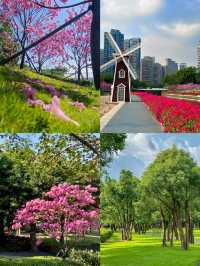 春日限定！後海中心公園風鈴花海全攻略