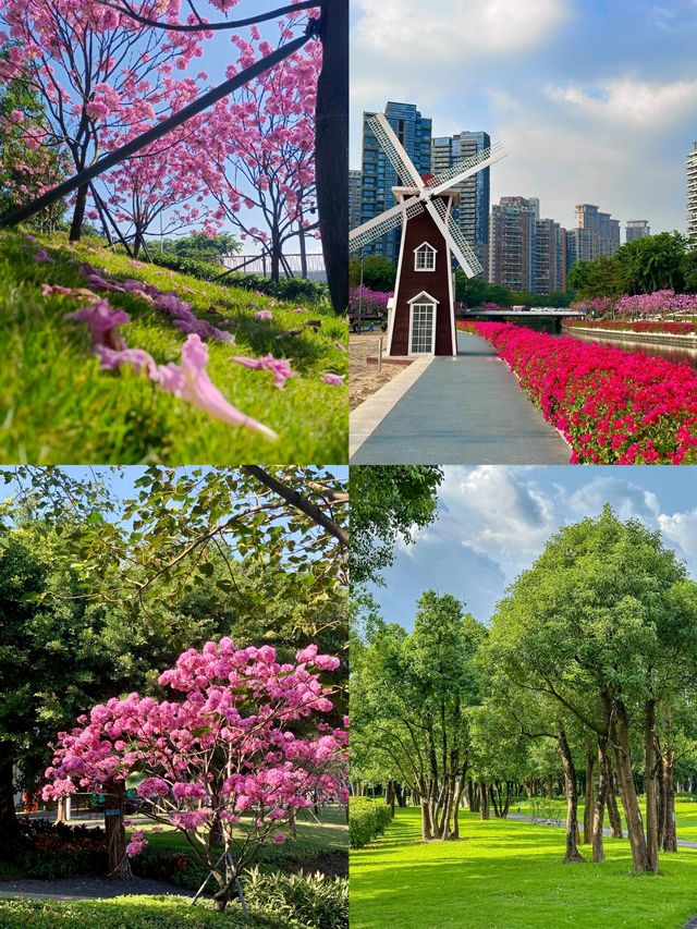 春日限定！後海中心公園風鈴花海全攻略