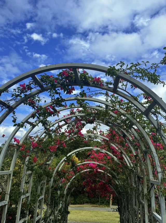 深圳公園 city walk 周末遛娃好去處