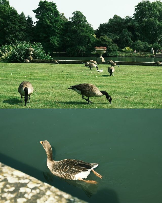 Explore Kew Gardens in London for a Relaxing Solo Adventure