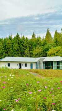 東平國家森林公園：如何避開旅遊高峰期？