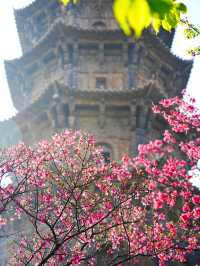 「後來我逢人便說，泉州春天有多溫柔…」