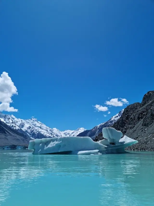 뉴질랜드 청명절 봄나들이 여행, 지금 바로 떠나보세요!