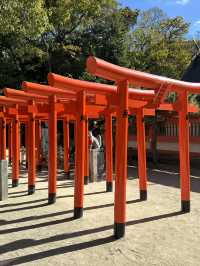 住吉神社與周邊景點一日遊：福岡的信仰與自然探索⛩️🌳
