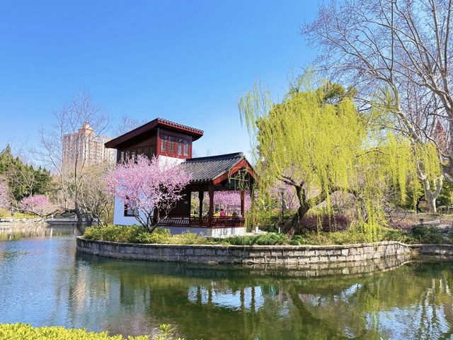藏身於市區的小眾賞花勝地，人少花多超好拍！