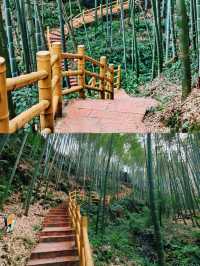 眾人皆赴海  唯我獨向山