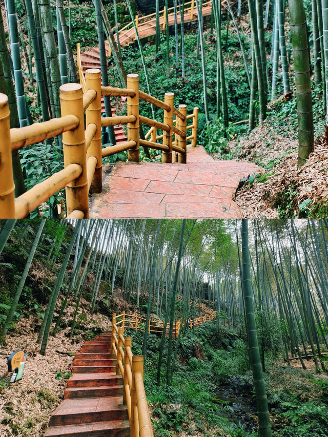眾人皆赴海  唯我獨向山