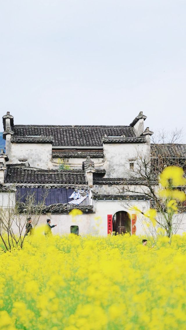 古村古道，獨屬於皖南的浪漫……
