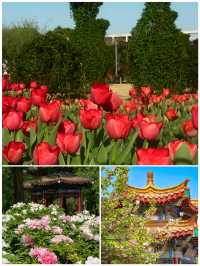 3月信陽點玩，睇呢篇就夠晒嘞