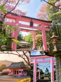 三島市旅遊攻略，解鎖小眾寶藏地