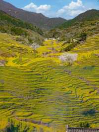 比起景德鎮，我更愛這座上榜《國家地理》的春日小城