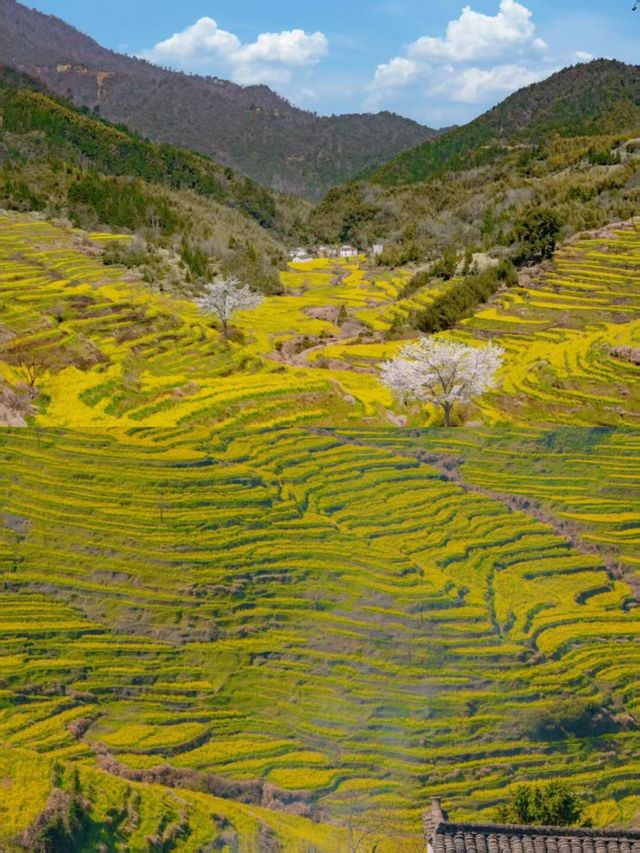比起景德鎮，我更愛這座上榜《國家地理》的春日小城