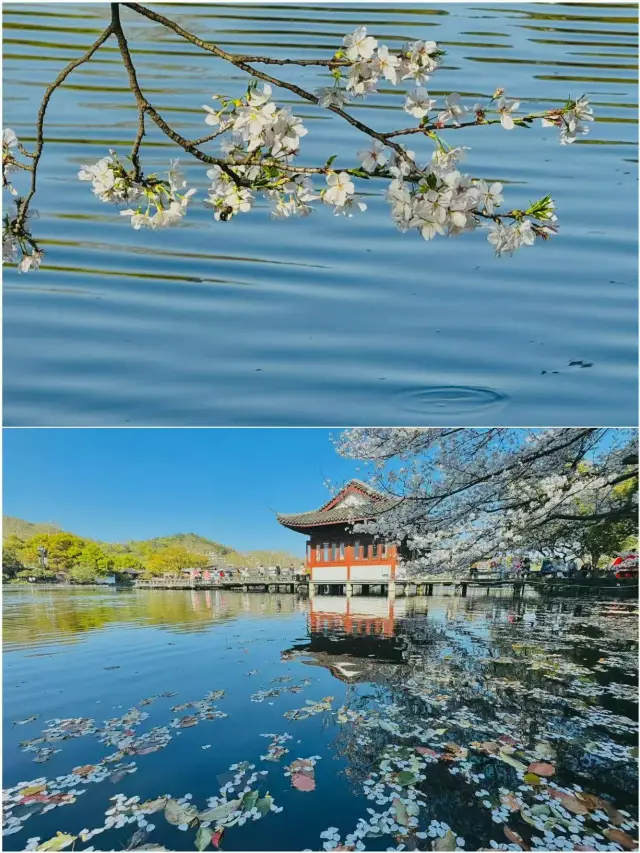 China's Zero-Complaint City Guide | 10 Heavenly Places