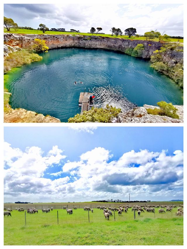 澳洲遺世明珠，羅布——你的夢幻旅行地