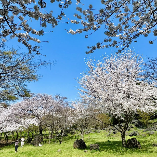 📍新山公園 | 體驗在地生活的寶藏角落