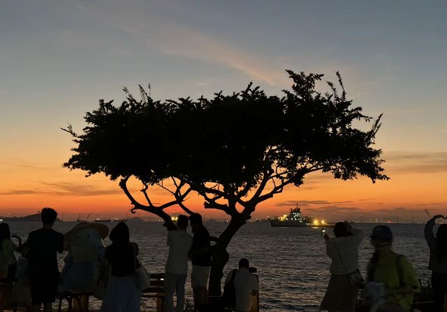 深圳出發桂山島兩日一夜遊全攻略